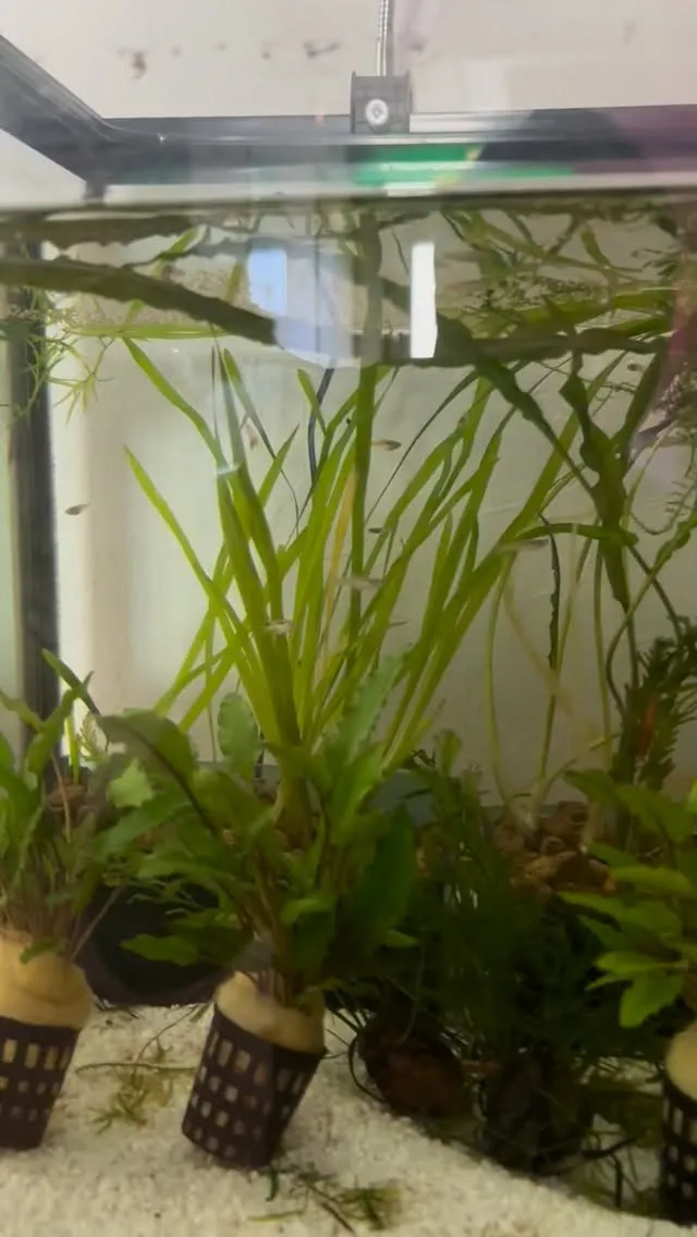 現在空室4部屋です。