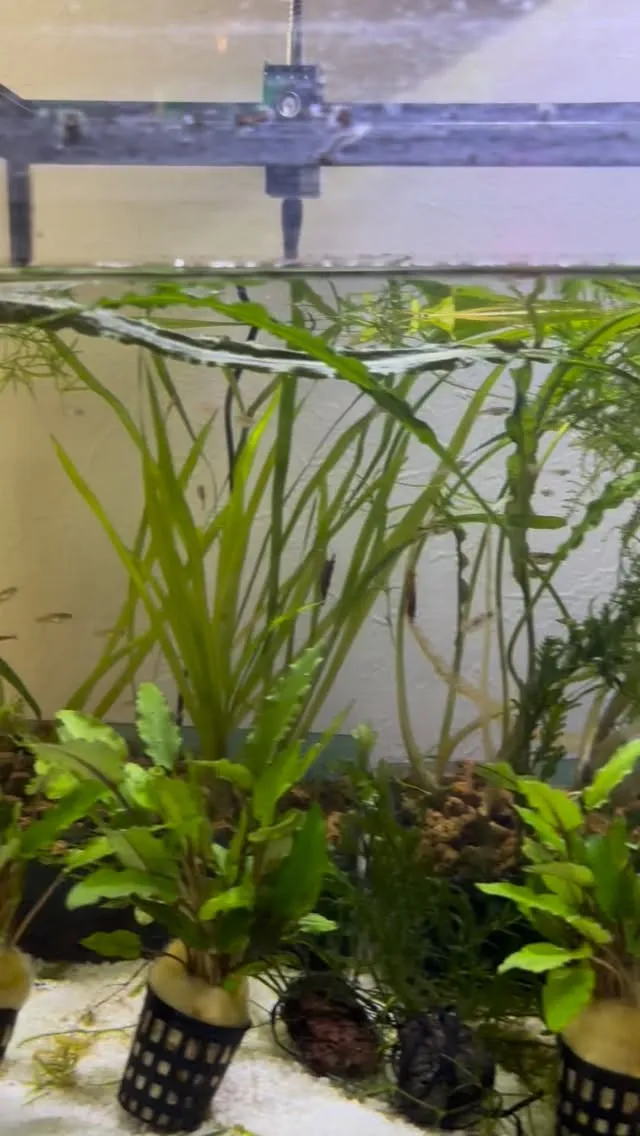 現在空室4部屋です。