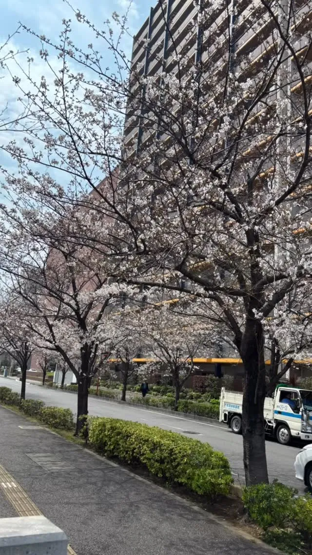 週末は多くのご来店ありがとうございました。