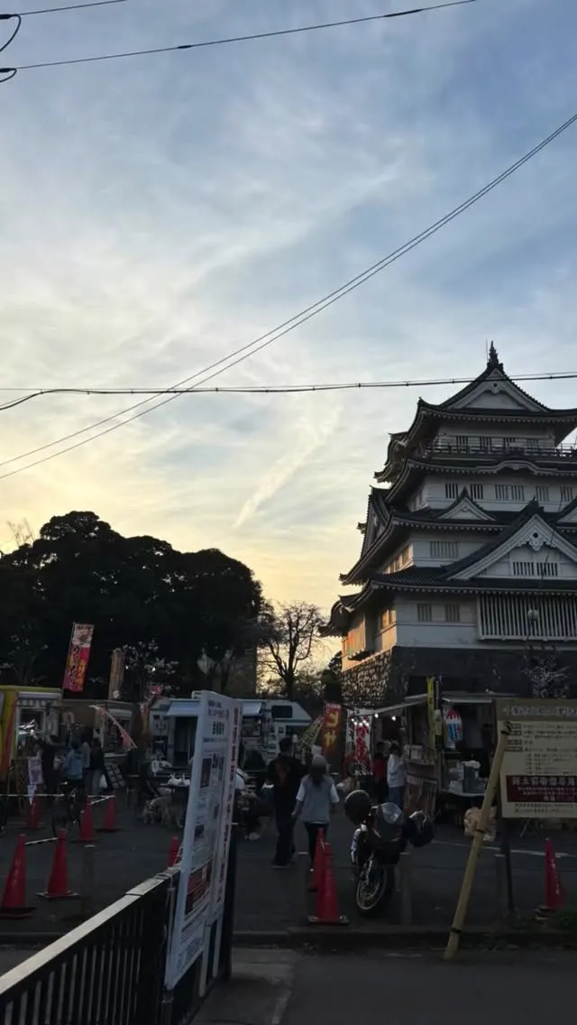 昨日は千葉城さくら祭りへ。