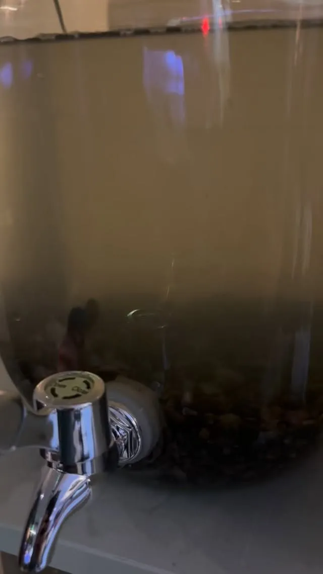 いただいたベタに砂利のセッティング。