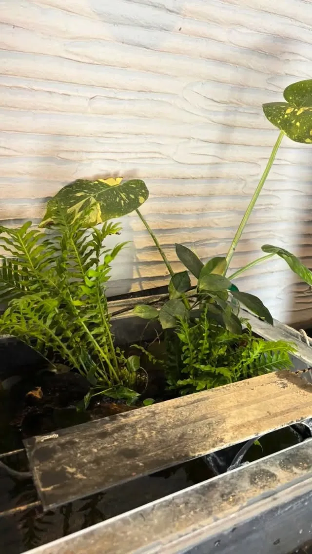 今日の社長のお仕事。