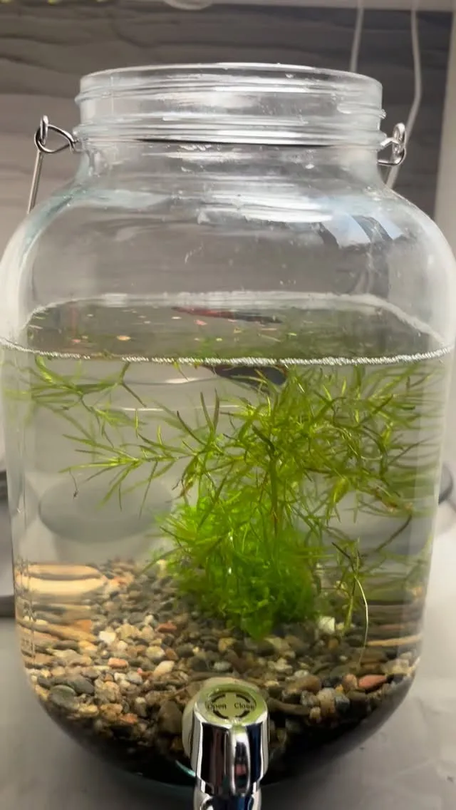 ベタんとこ少しいじりました。