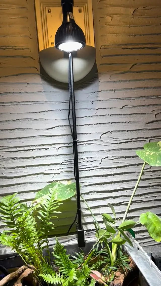 左側も吊り下げ式にしようかな？