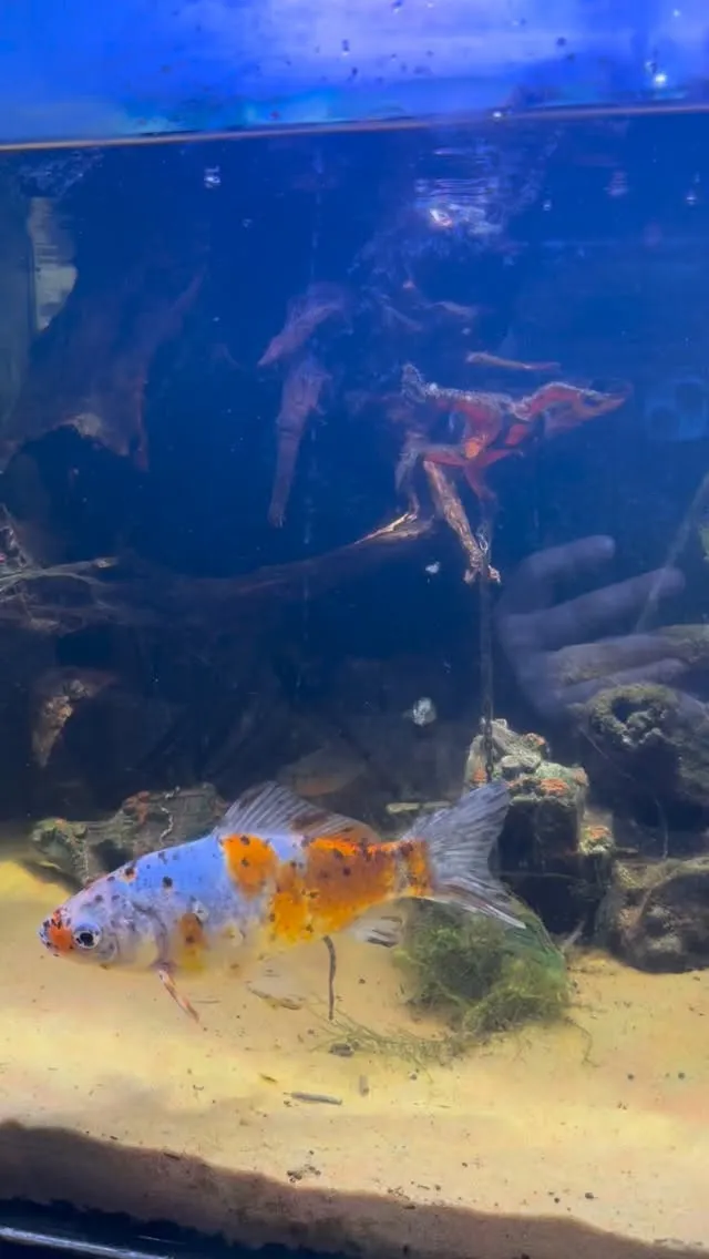 まだ空室あります。