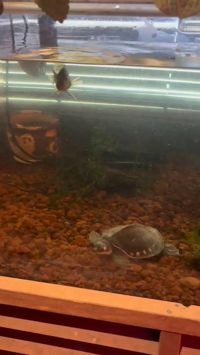 ゴールデンウィーク中も通常料金のタイムシェア制です。