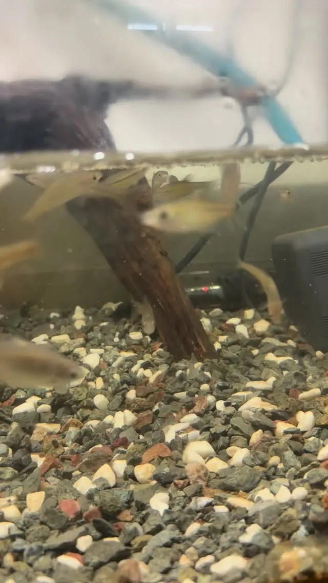 たまに死んでんのかと思ってびっくりするぞ！