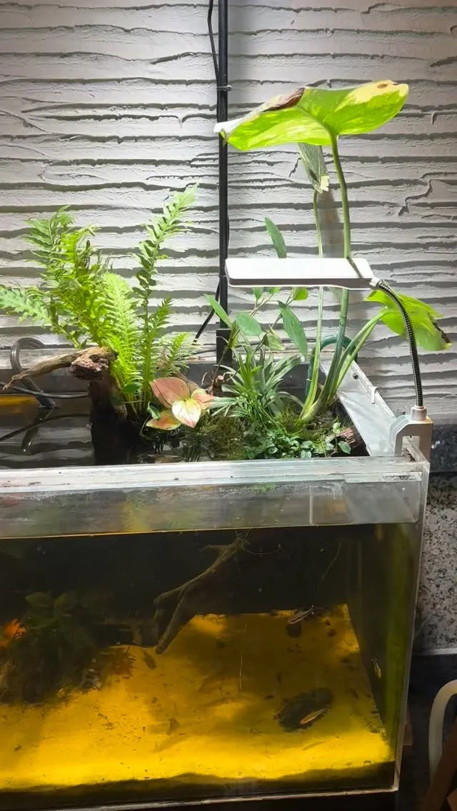 ちょっといじってます。