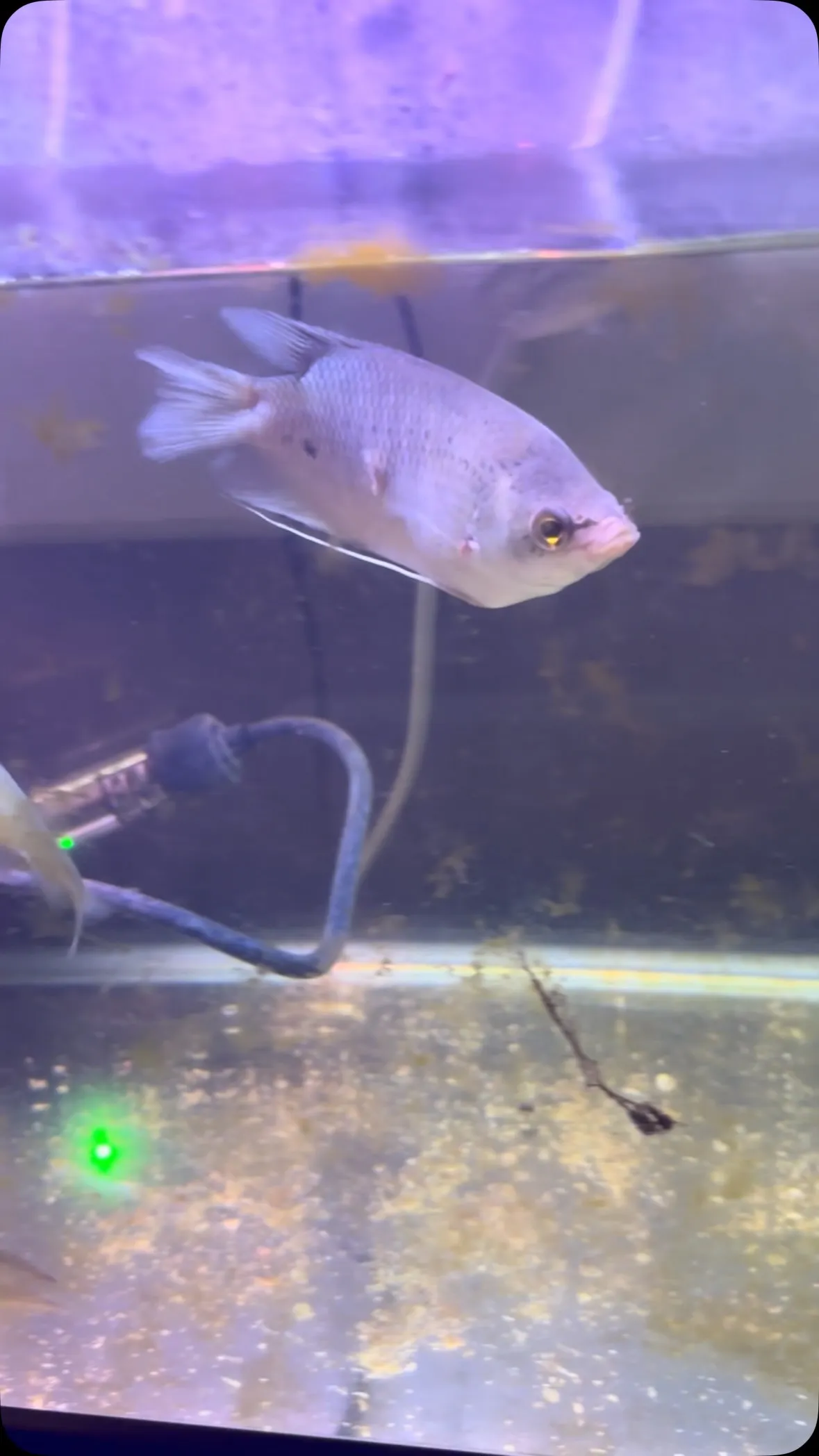 エクソドンの病気は気になるが、今のところ仲はいいです。