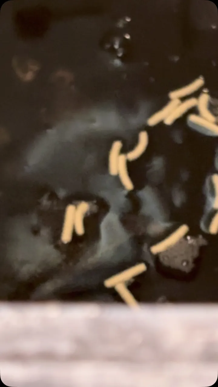 またあいにくの雨ですが、現在少し空室あります。